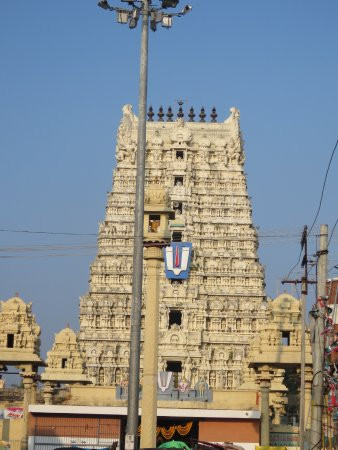 Ulagalantha Perumal Temple景点图片