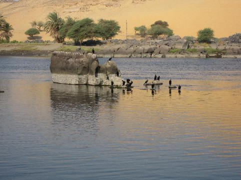 Aswan Individual - Daily Tour-亚斯文必去景点