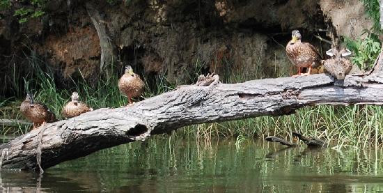 Quiet Waters Park-安纳波利斯必去景点
