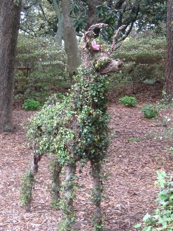 Elizabethan Gardens景点图片