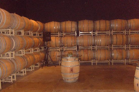 Bon Vivant Wine Tours-西雅图必去景点