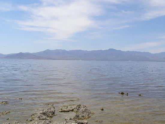 Salton Sea-Salton City必去景点