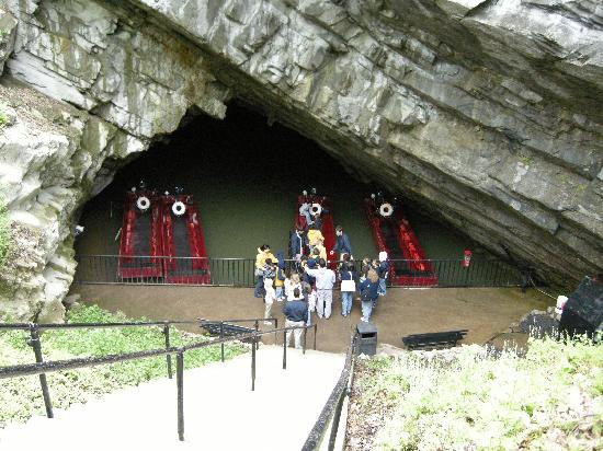 Penn's Cave & Wildlife Park景点图片