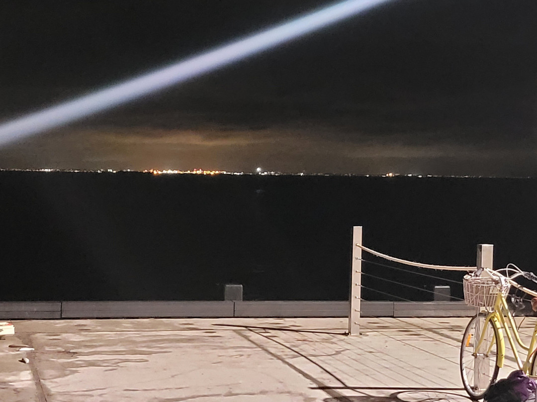 Rottnest Island Pedal and Flipper景点图片