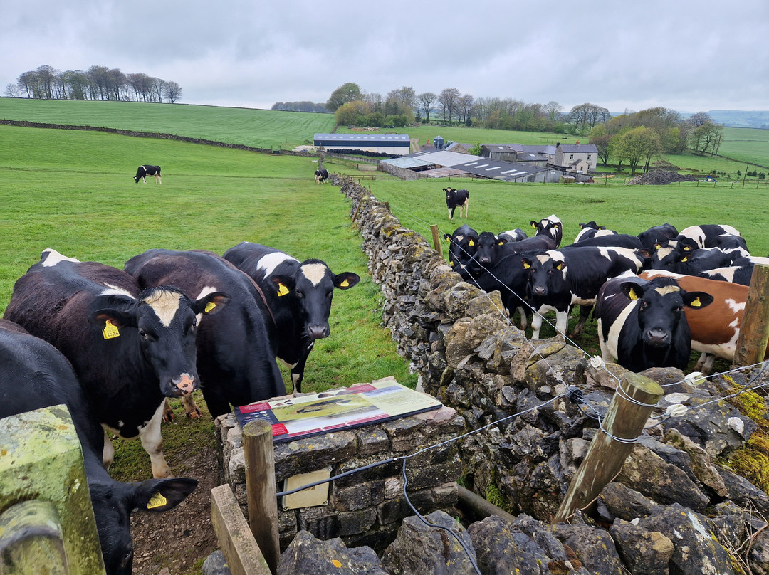 Arbor Low Stone Circle & Gib Hill Barrow景点图片