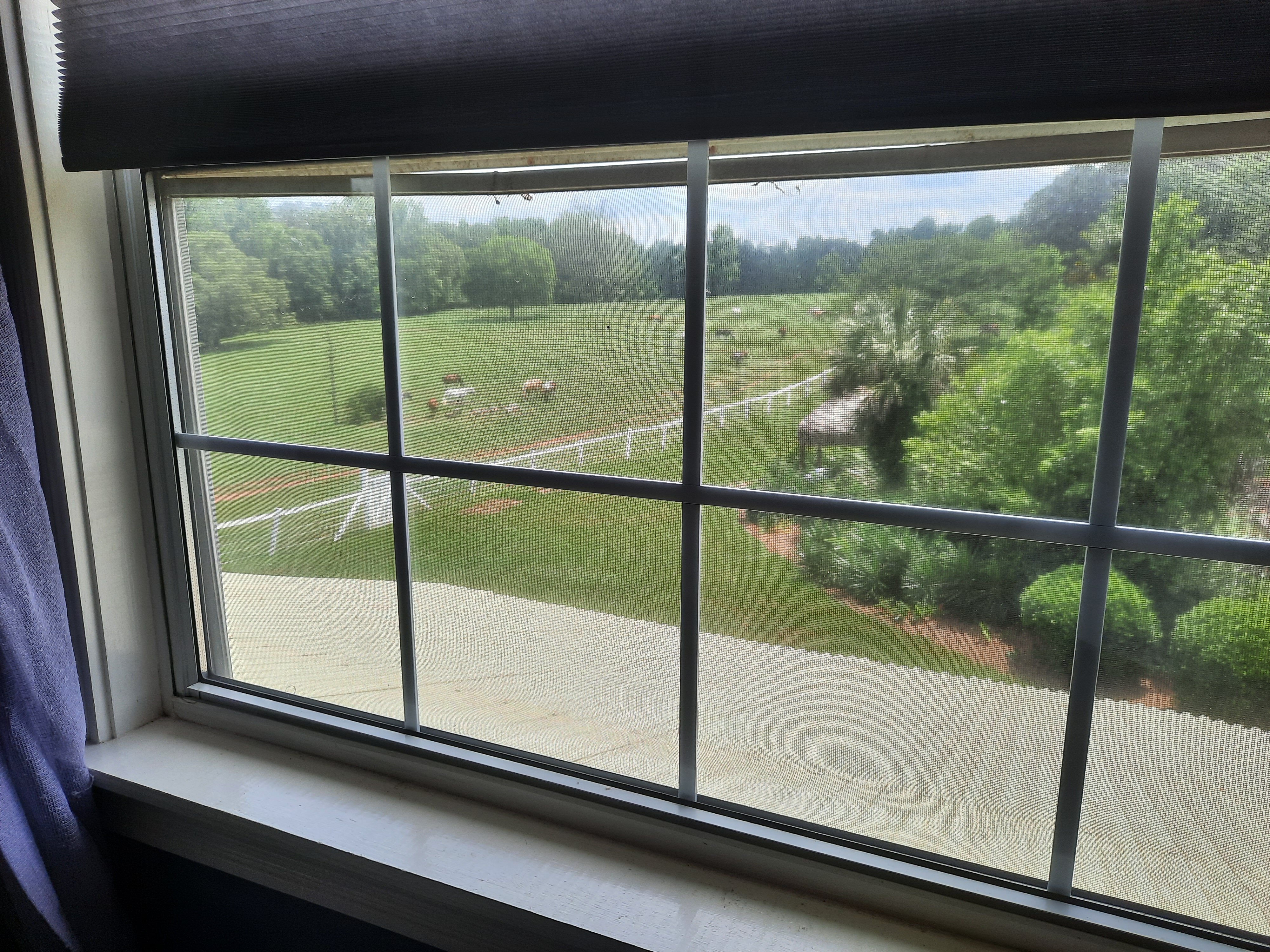 Southern Cross Ranch-客卧
