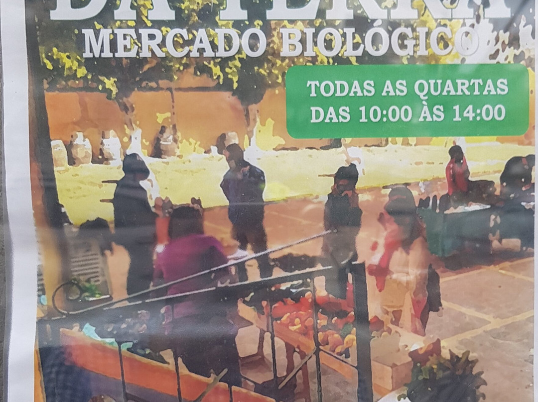 Mercado Biologico景点图片