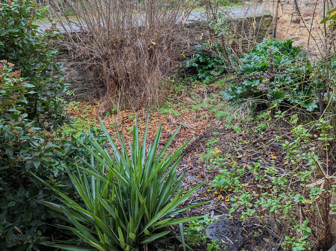 Mintaro Hideaway主图