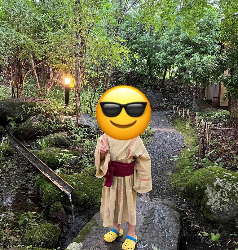 疗愈之里 树屋主图