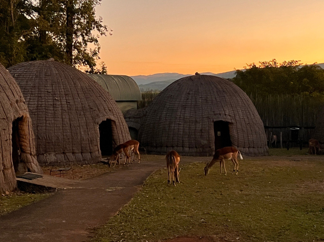 Big Six Tour Safaris-约翰内斯堡必去景点