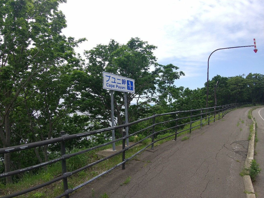 Puyuni Misaki景点图片