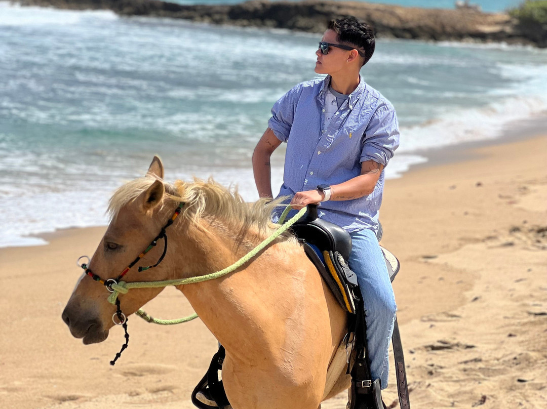 Beach Horses PR景点图片