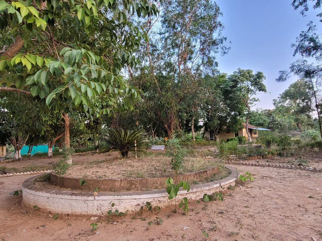 Tribal Woods Kanha主图