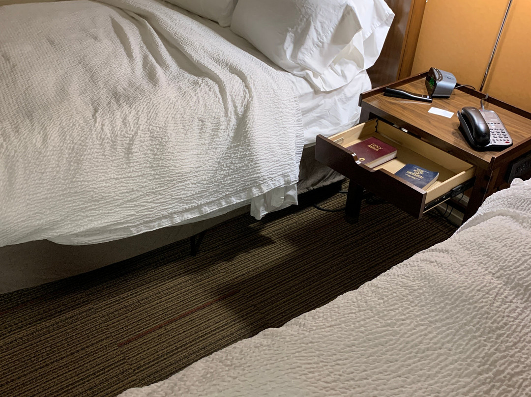 堪萨斯城机场福朋喜来登酒店主图