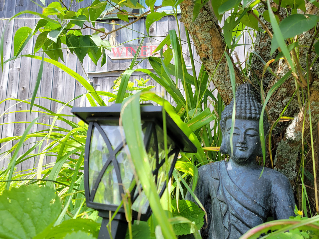 Shalom Orchard Organic Farm and Winery景点图片