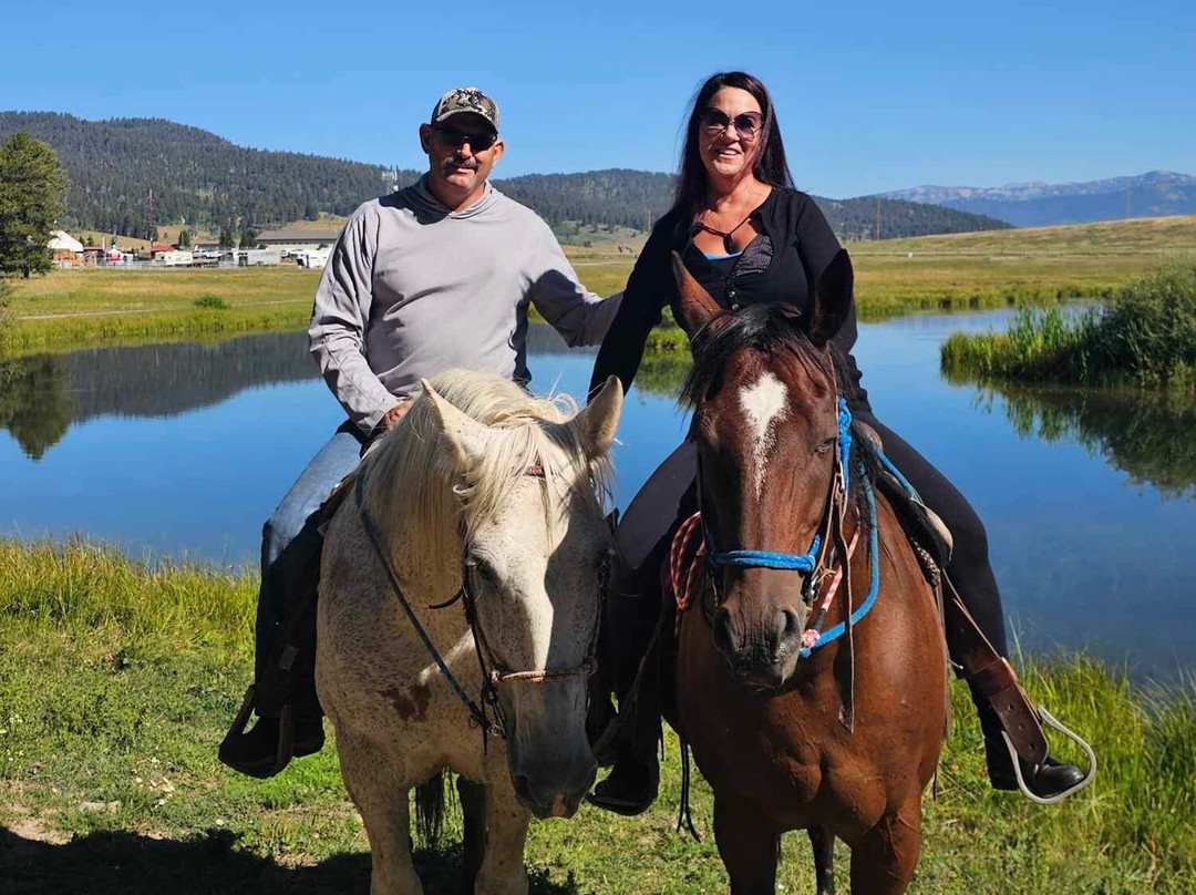 Creekside Trail Rides-西黄石镇必去景点