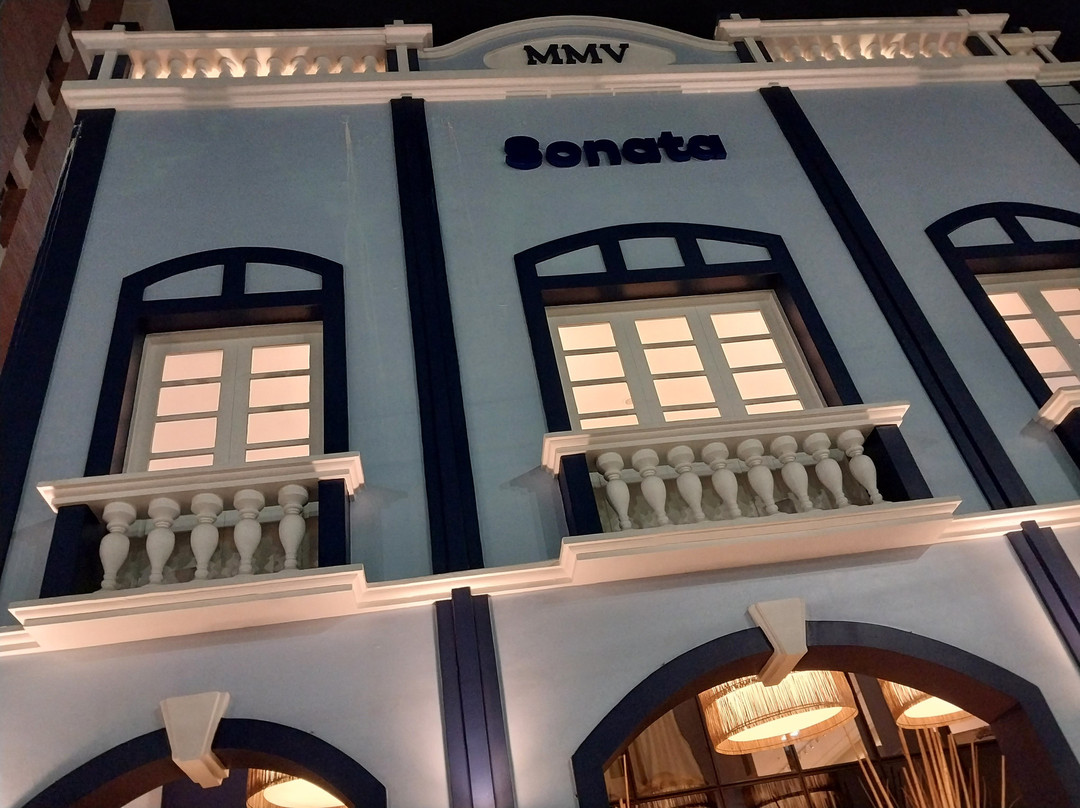 Hotel Sonata de Iracema主图