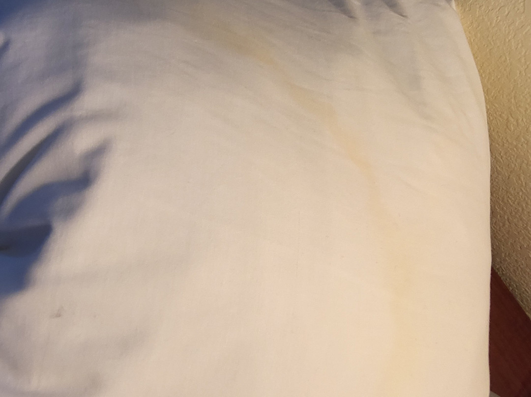 阿灵顿首府美景 Residence Inn 酒店主图