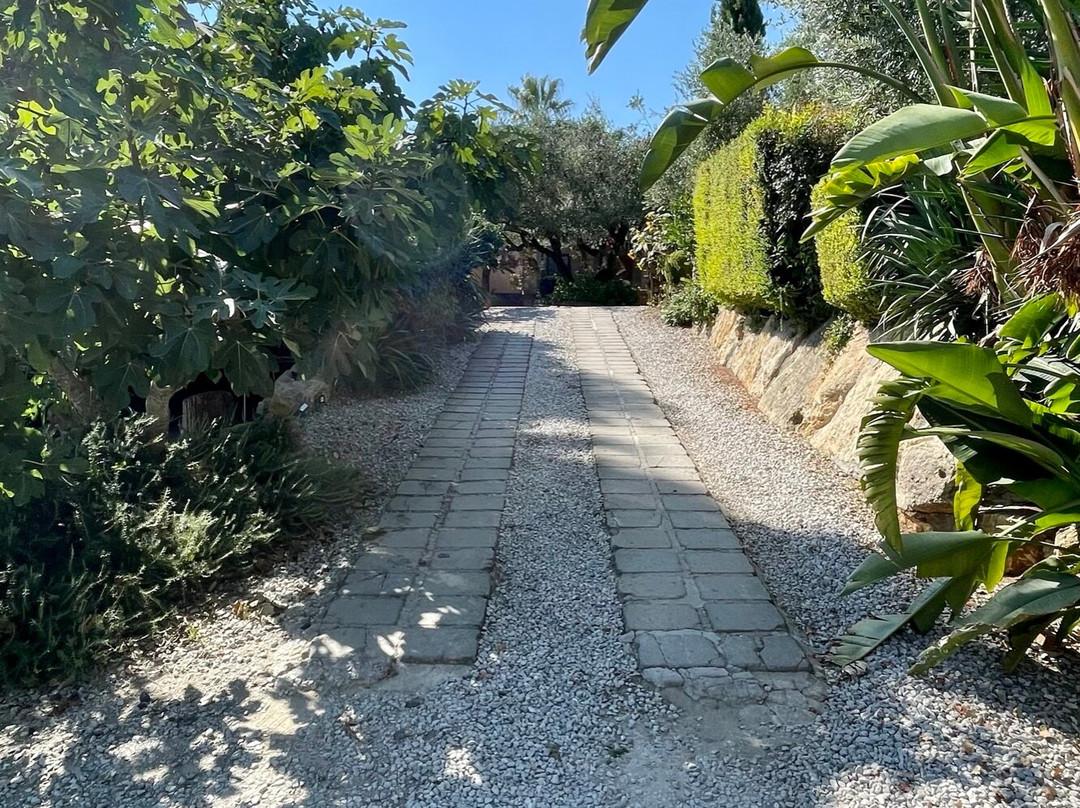 Il Giardino Dei Flintstones B&B主图
