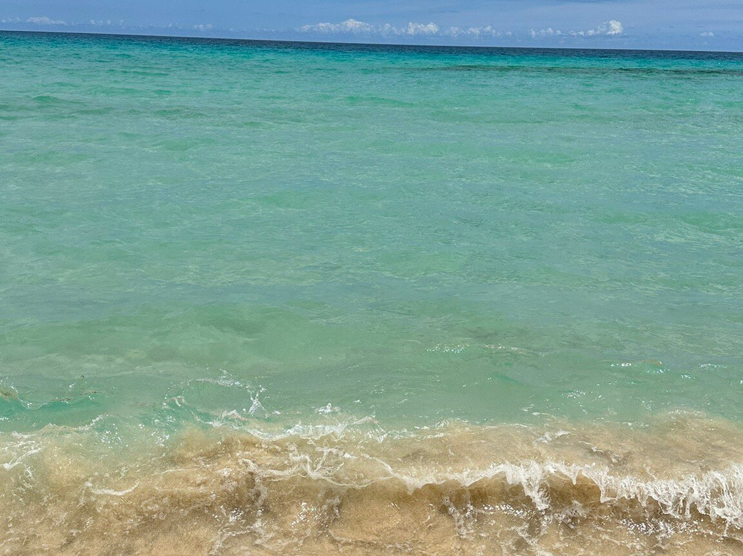 Playa Larga-科拉雷侯必去景点