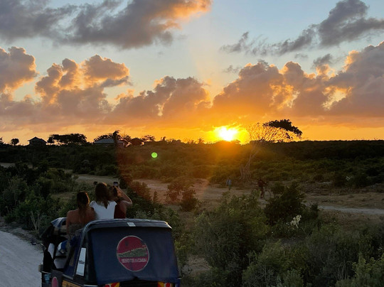 Samuel & Giulio-瓦塔木必去景点