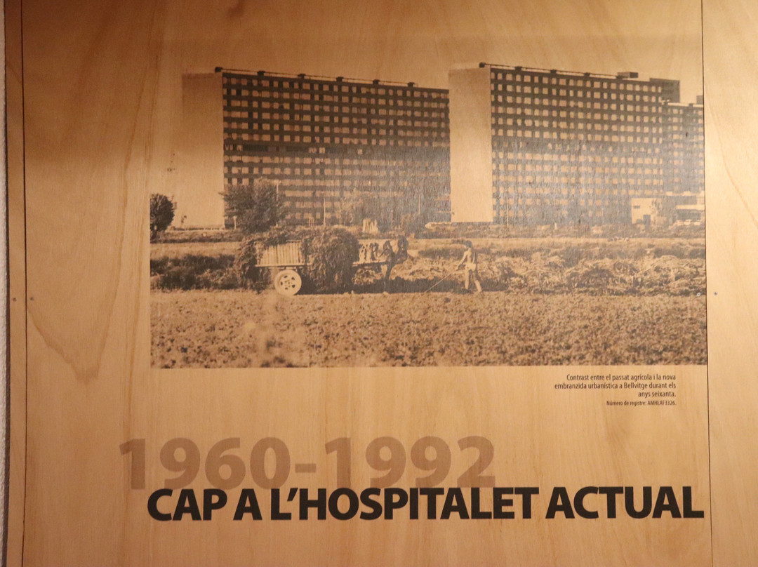 Museo de Hospitalet de Llobregat景点图片