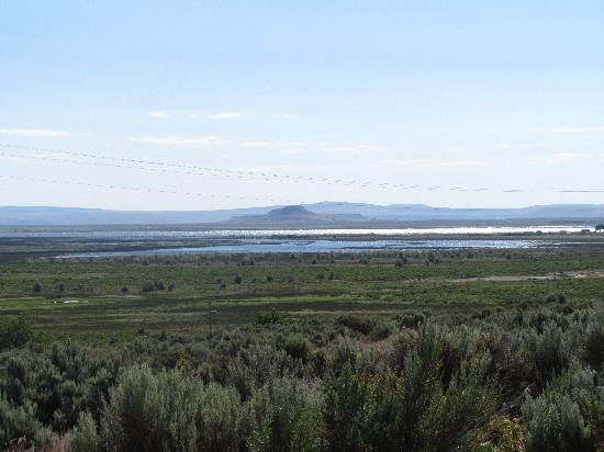 Malheur National Wildlife Refuge-Princeton必去景点