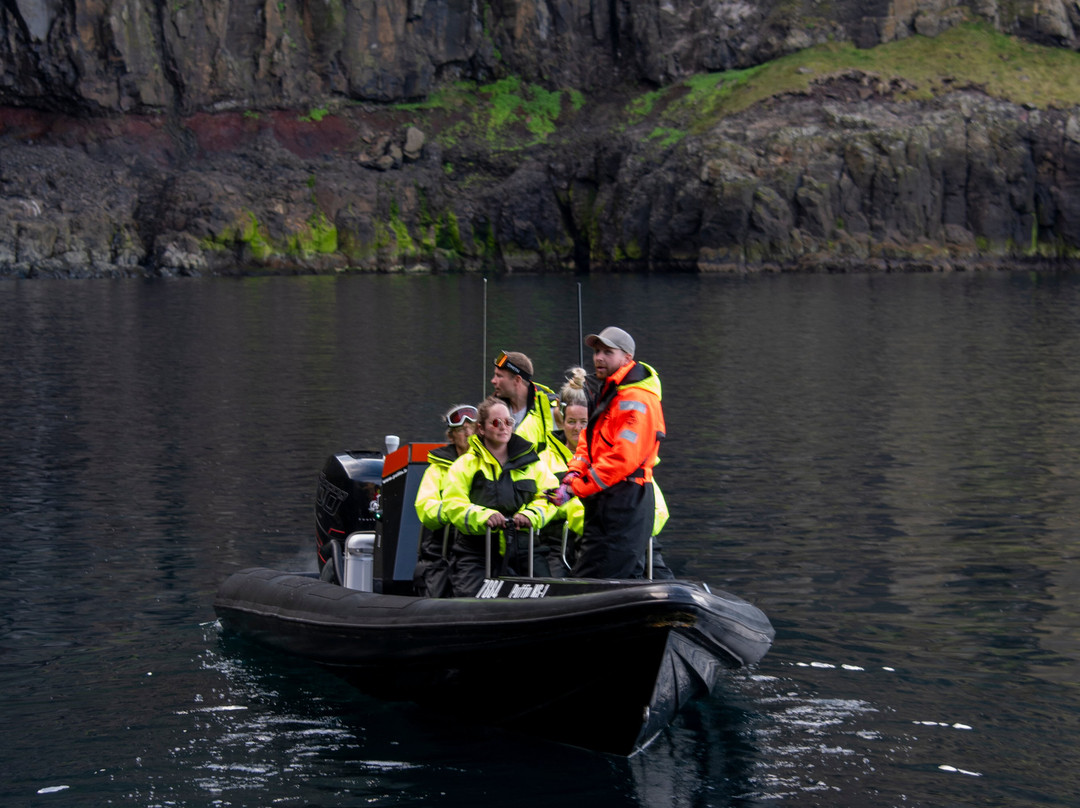 Puffin Adventures-Borgarfjordur Eystri必去景点