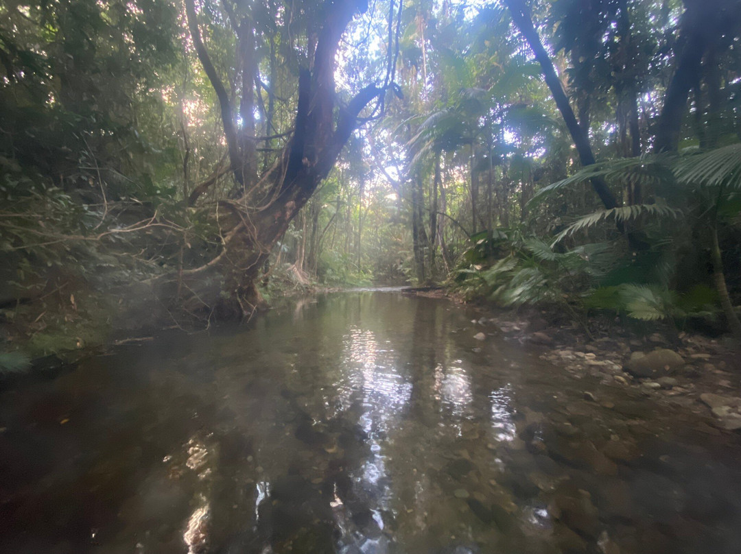 Prema Shanti Yoga & Meditation Retreat主图