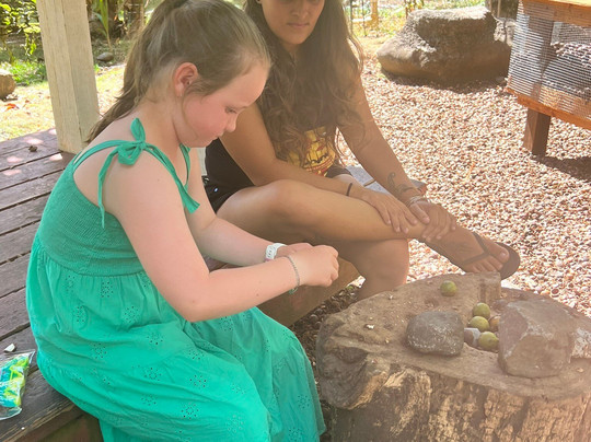 Danielshawaii Exclusive Oahu Island & Pearl Harbor Tours-火奴鲁鲁必去景点