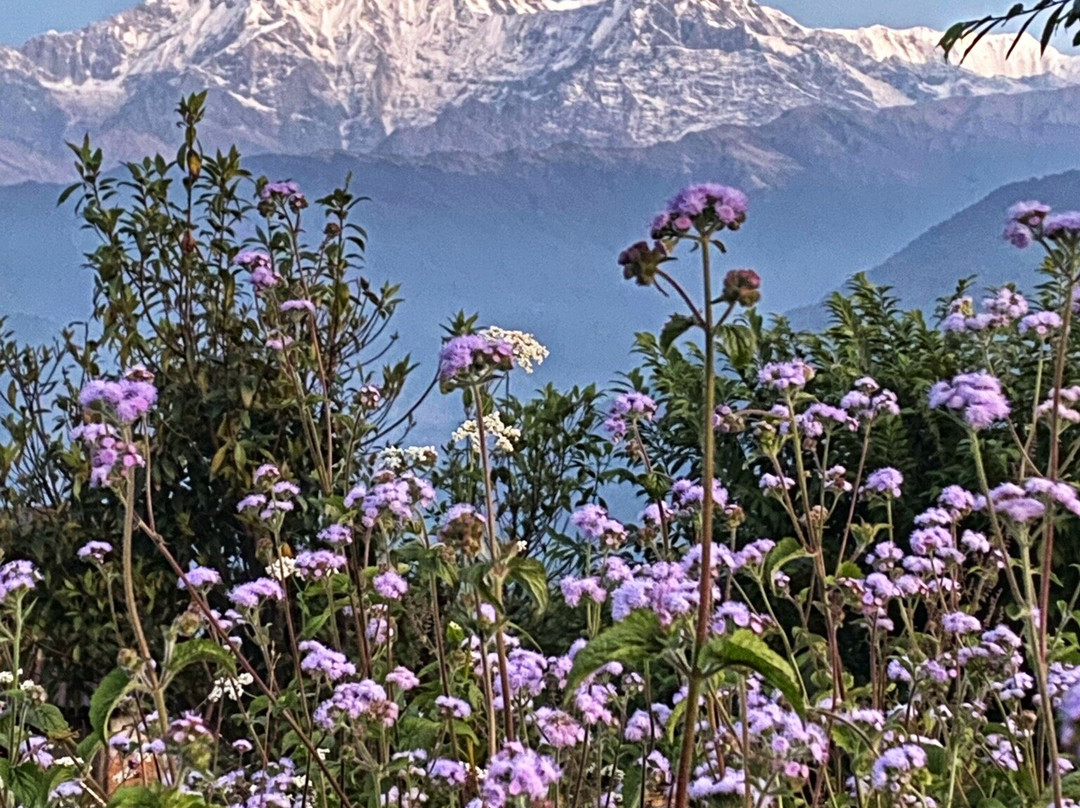 Annapurna Eco-Village主图