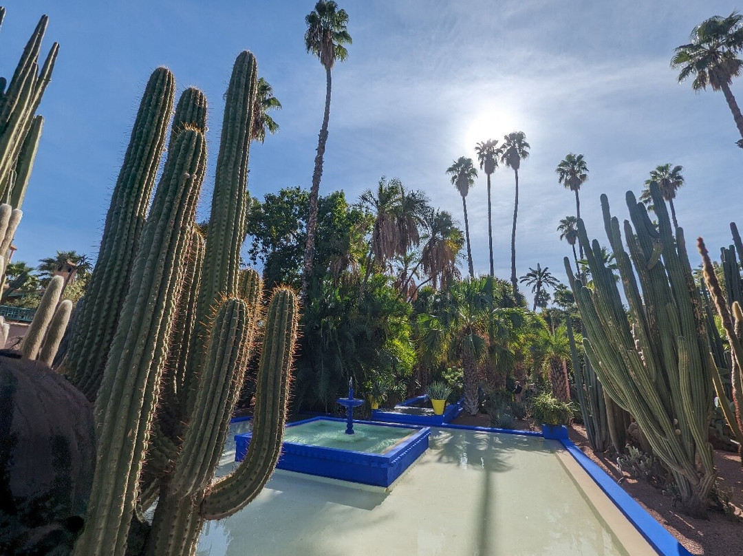 experienceamazingmorocco-马拉喀什必去景点