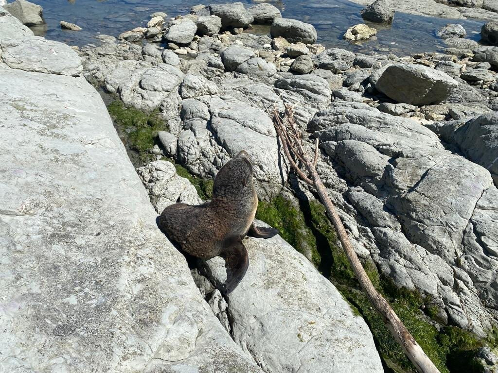 Leisure Tours-基督城必去景点