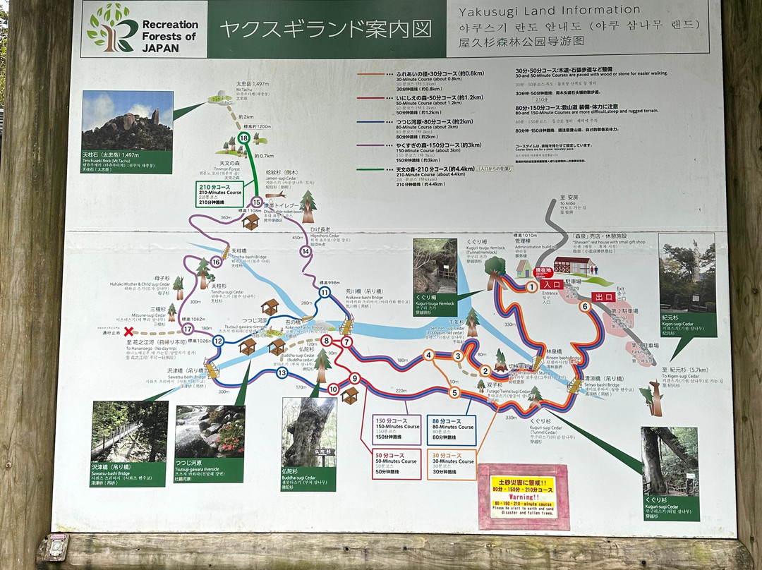 Yakushima Traffic-屋久岛必去景点