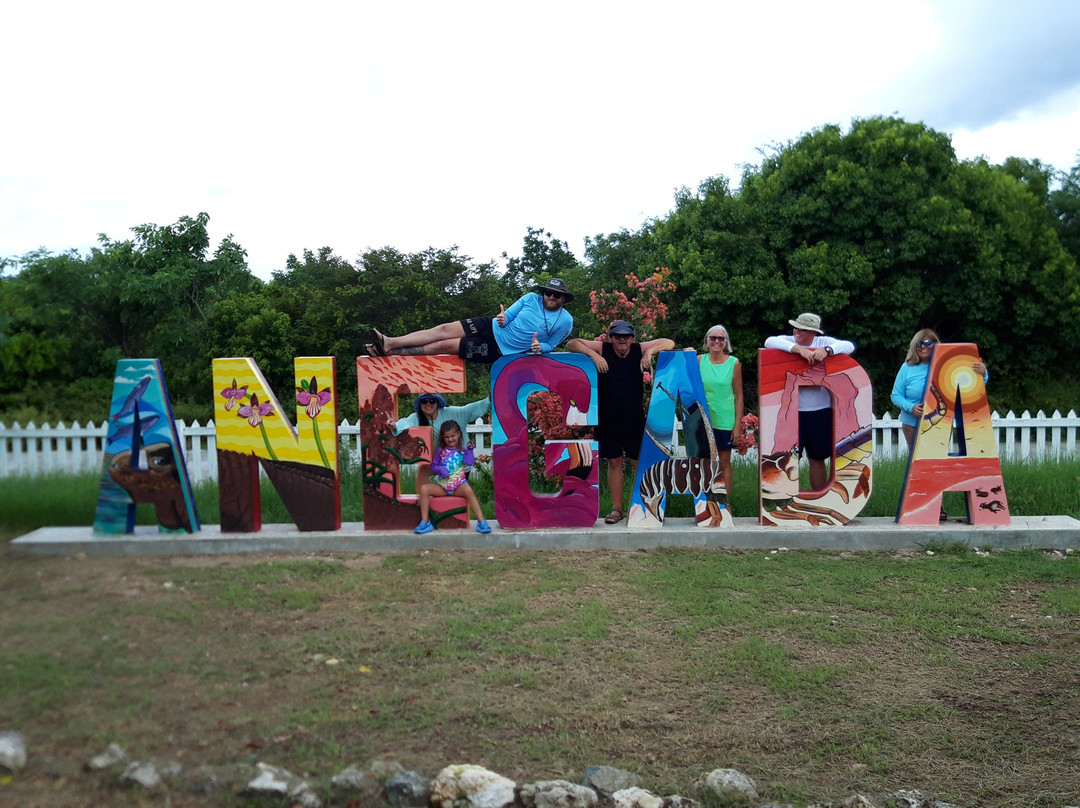 S/V Chaos Interrupted-圣 托马斯必去景点