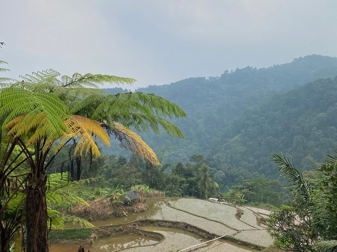 Bogor Halimun National Park Tour-茂物必去景点