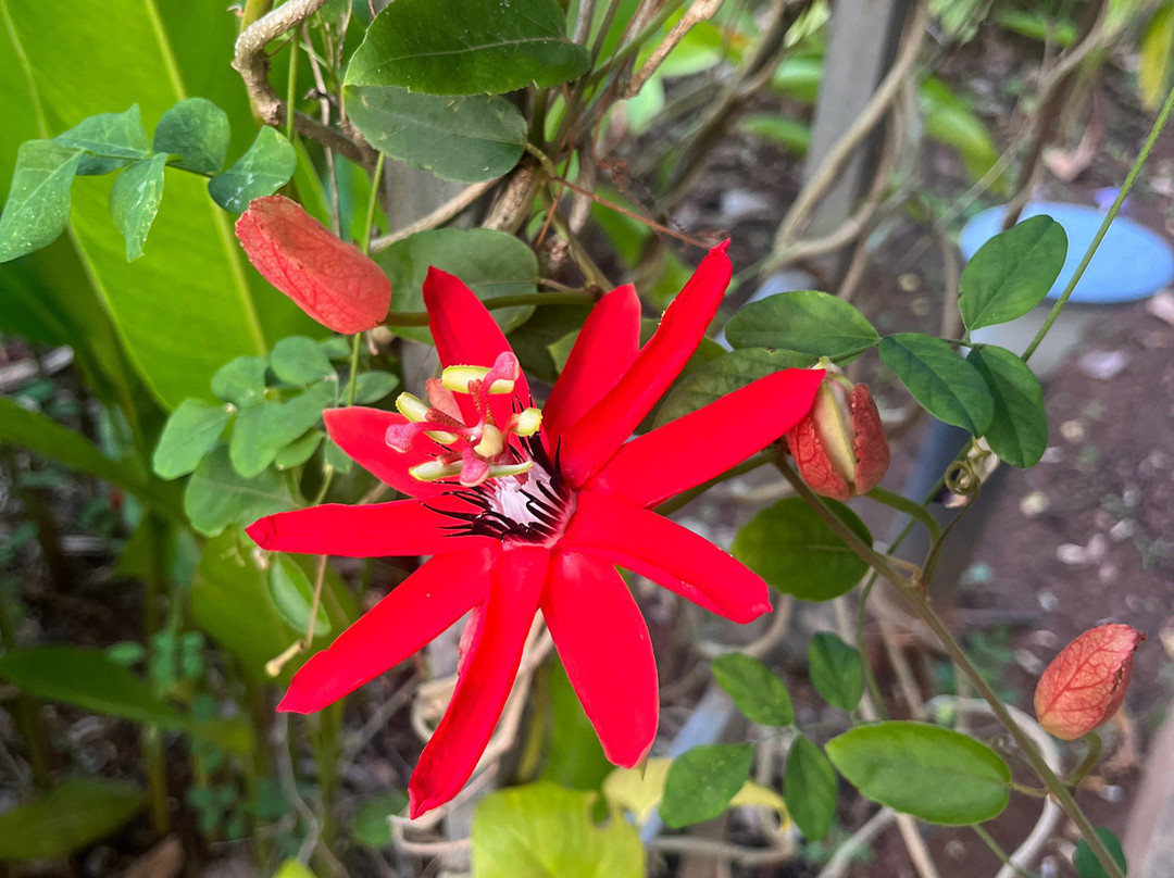 Rivercoast Resort主图