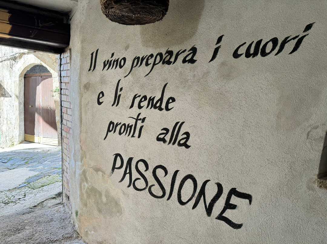 Borgo d'Arte di Valogno景点图片