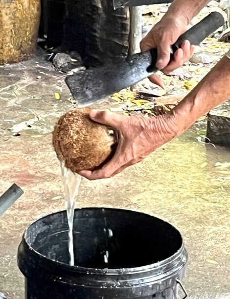 Nam Bo Tours-Ben Tre必去景点