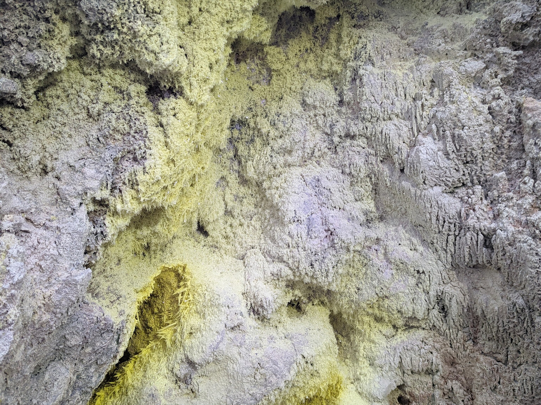 Berastagi Nachelle Homestay主图