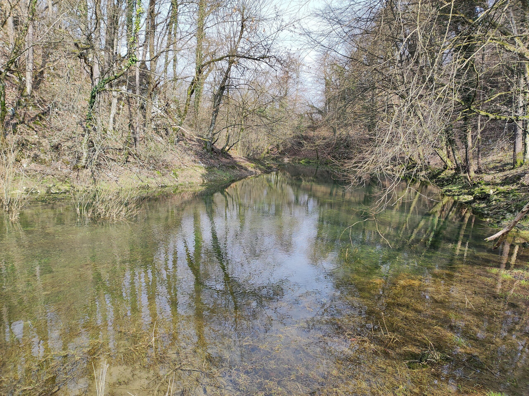 Retovje Springs-Vrhnika必去景点