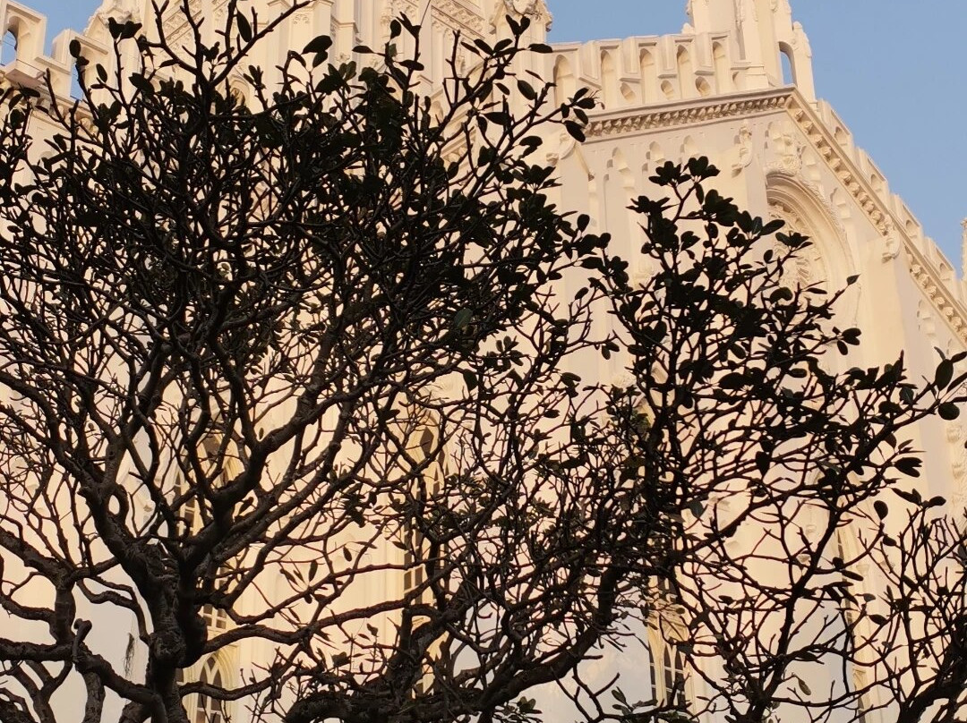 St. Paul's Cathedral景点图片