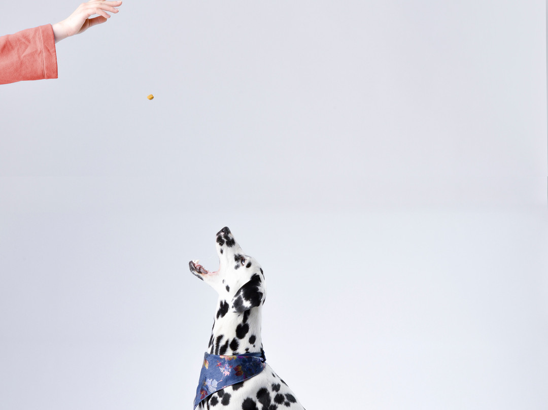 Made INN Vermont, an Urban-Chic Boutique Bed and Breakfast主图