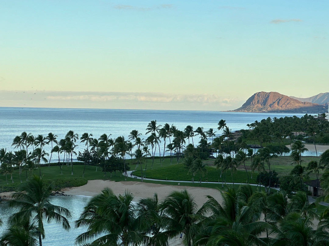 科奥利纳海滩万豪俱乐部酒店主图