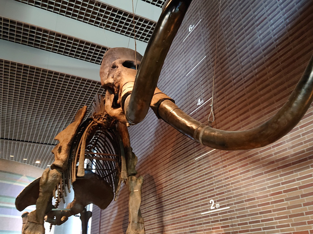 Museum Park Ibaraki Nature Museum-阪东市必去景点