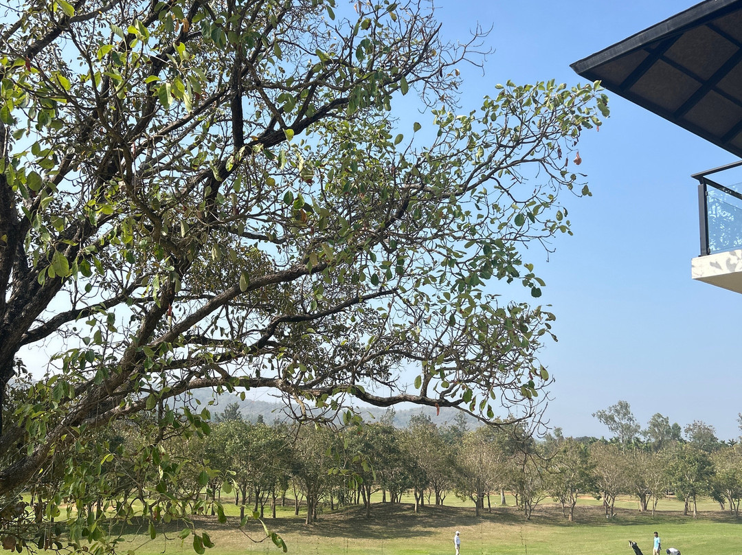 Kimmane Golf Resort主图