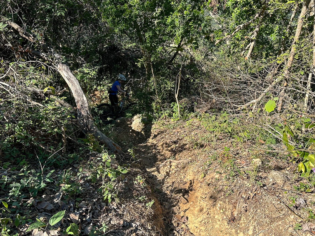 Eco Ride Mountain Bike & Hiking Tours-瓦拉塔港必去景点