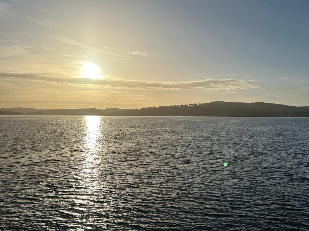 SeaLink Bruny Island Ferry景点图片