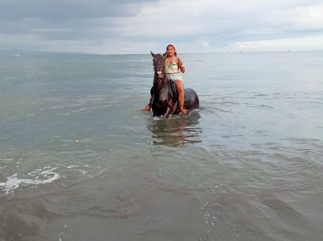 1 Hour bali horse riding & swim at padang galak beach景点图片