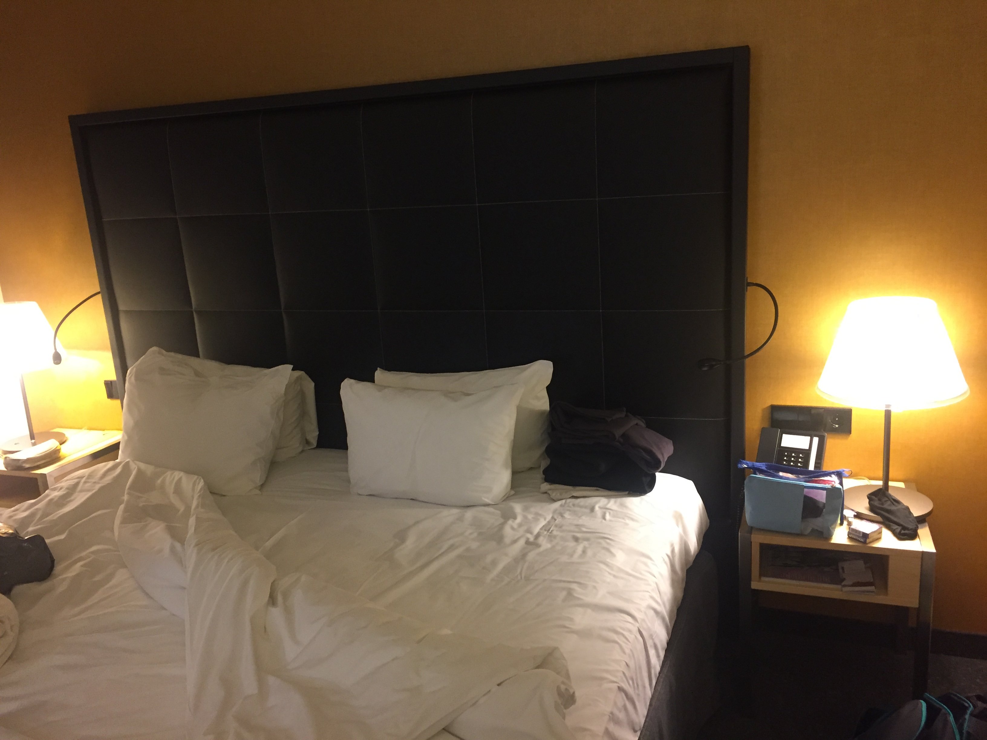 Airportcity Plaza St.Petersburg Hotel-官方